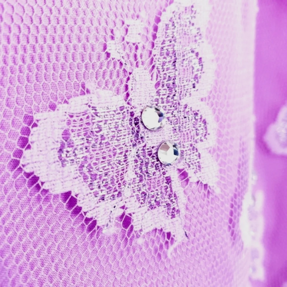 Lavender Floral Lace/Rhinestone Butterfly Pant/Crop Top Fun Fashion 2 Pc Set
